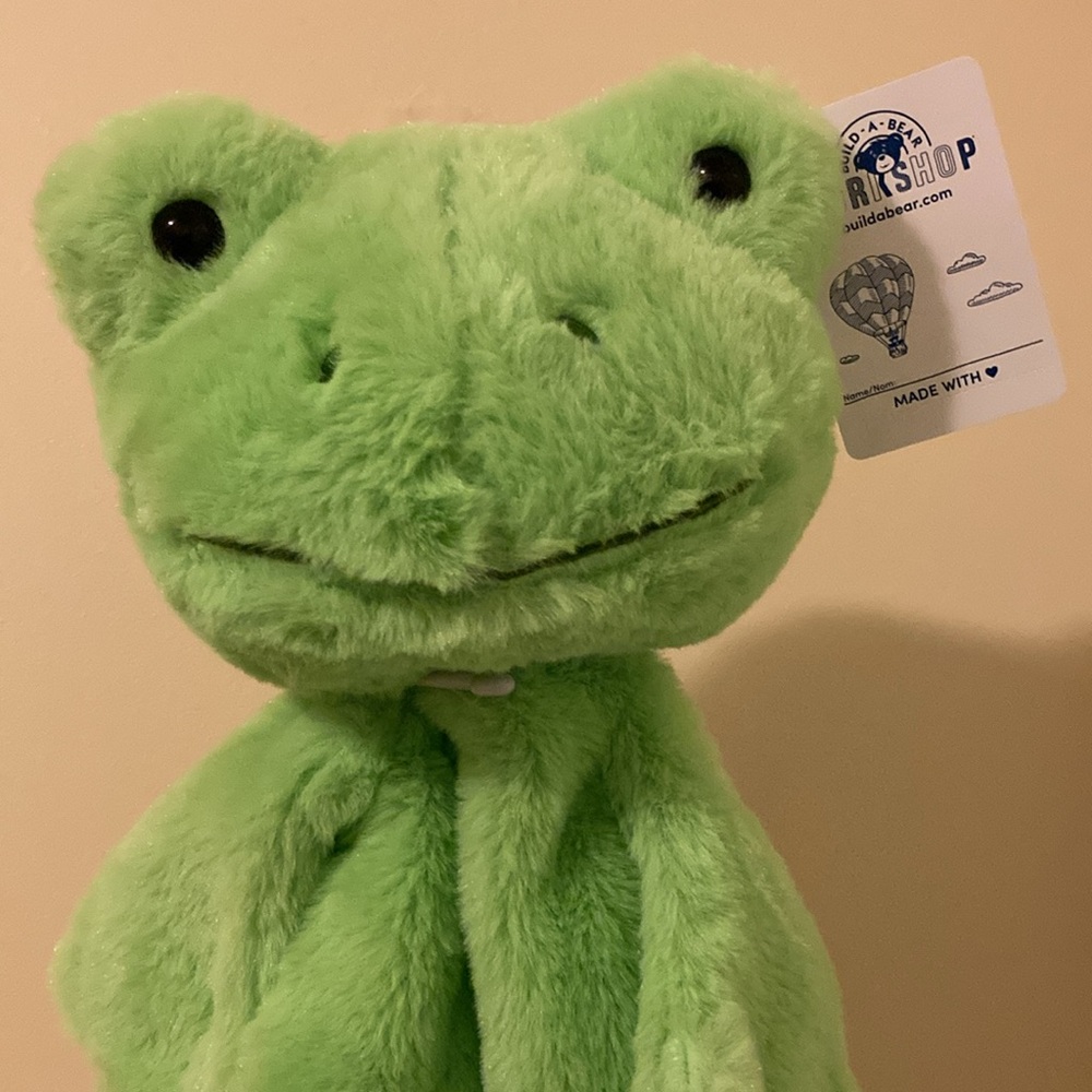 🐸 Brand new with tags - Spring Frog Build a bear